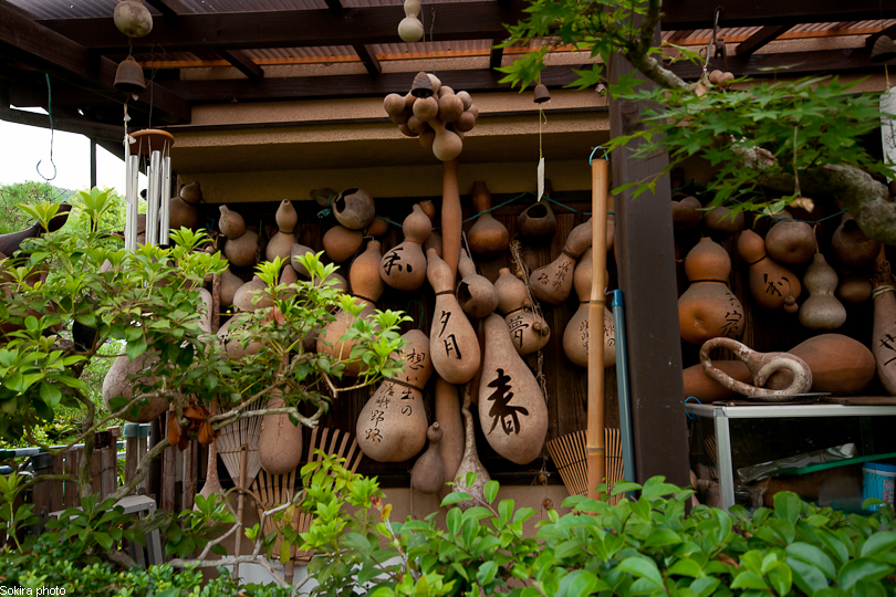 Tokyo - Yokohama - Kyoto - Osaka - Kobe - Hiroshima - Miyajima - Fukuoka - Nagasaki ...
