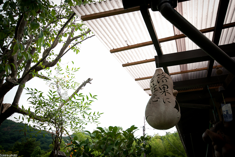 Tokyo - Yokohama - Kyoto - Osaka - Kobe - Hiroshima - Miyajima - Fukuoka - Nagasaki ...