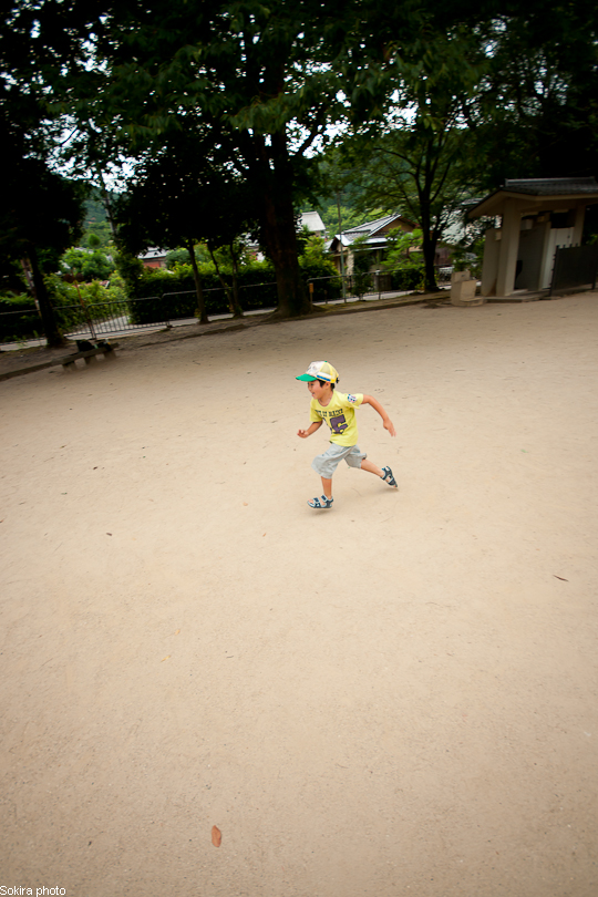 Tokyo - Yokohama - Kyoto - Osaka - Kobe - Hiroshima - Miyajima - Fukuoka - Nagasaki ...