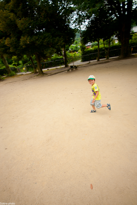 Tokyo - Yokohama - Kyoto - Osaka - Kobe - Hiroshima - Miyajima - Fukuoka - Nagasaki ...
