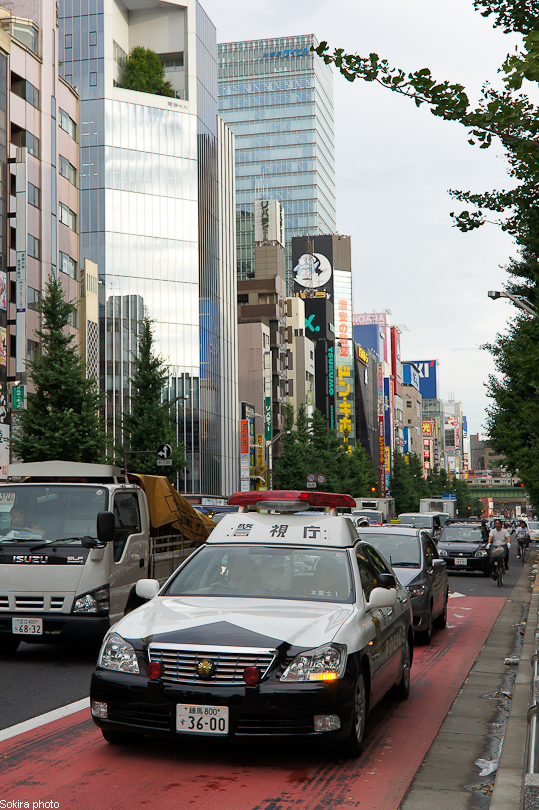 Tokyo - Yokohama - Kyoto - Osaka - Kobe - Hiroshima - Miyajima - Fukuoka - Nagasaki ...