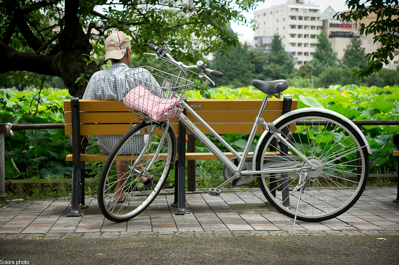 Tokyo - Yokohama - Kyoto - Osaka - Kobe - Hiroshima - Miyajima - Fukuoka - Nagasaki ...