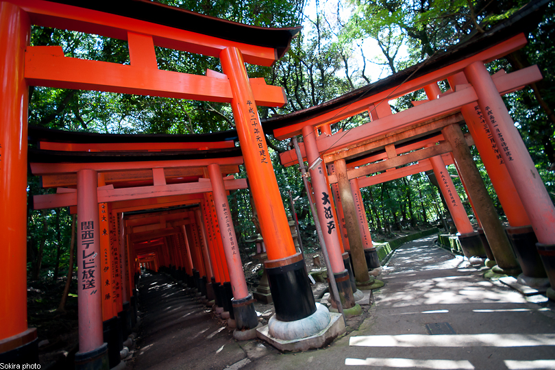 Tokyo - Yokohama - Kyoto - Osaka - Kobe - Hiroshima - Miyajima - Fukuoka - Nagasaki ...