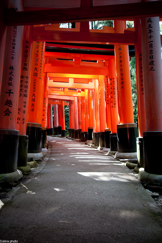 Tokyo - Yokohama - Kyoto - Osaka - Kobe - Hiroshima - Miyajima - Fukuoka - Nagasaki ...
