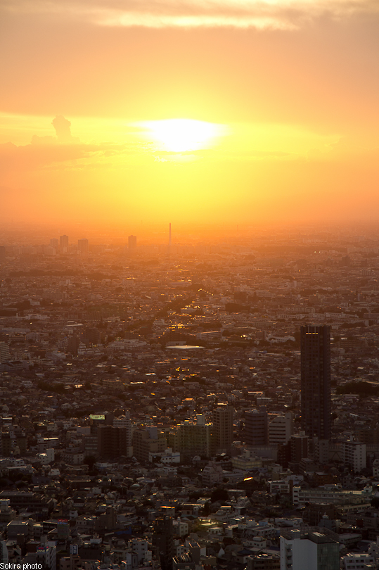 Tokyo - Yokohama - Kyoto - Osaka - Kobe - Hiroshima - Miyajima - Fukuoka - Nagasaki ...