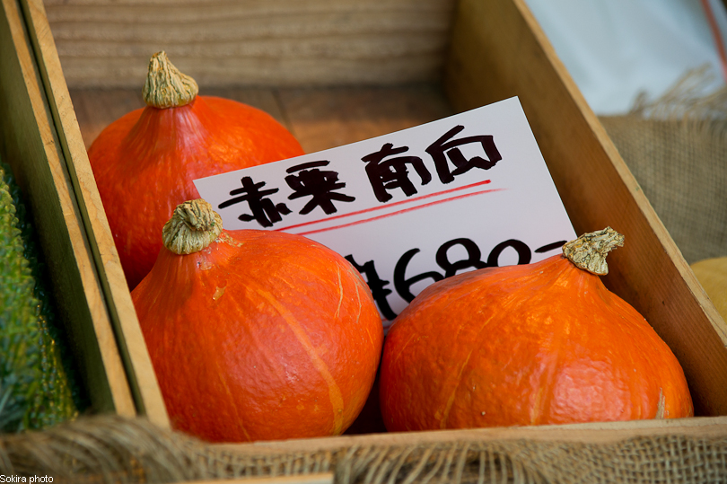 Tokyo - Yokohama - Kyoto - Osaka - Kobe - Hiroshima - Miyajima - Fukuoka - Nagasaki ...