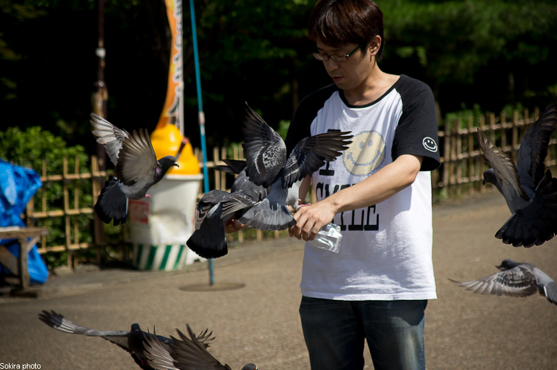 Tokyo - Yokohama - Kyoto - Osaka - Kobe - Hiroshima - Miyajima - Fukuoka - Nagasaki ...