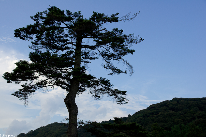 Tokyo - Yokohama - Kyoto - Osaka - Kobe - Hiroshima - Miyajima - Fukuoka - Nagasaki ...
