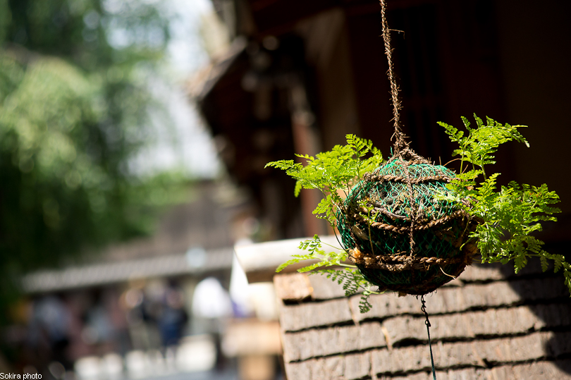 Tokyo - Yokohama - Kyoto - Osaka - Kobe - Hiroshima - Miyajima - Fukuoka - Nagasaki ...