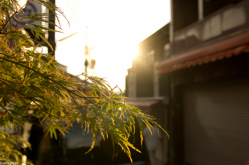 Tokyo - Yokohama - Kyoto - Osaka - Kobe - Hiroshima - Miyajima - Fukuoka - Nagasaki ...