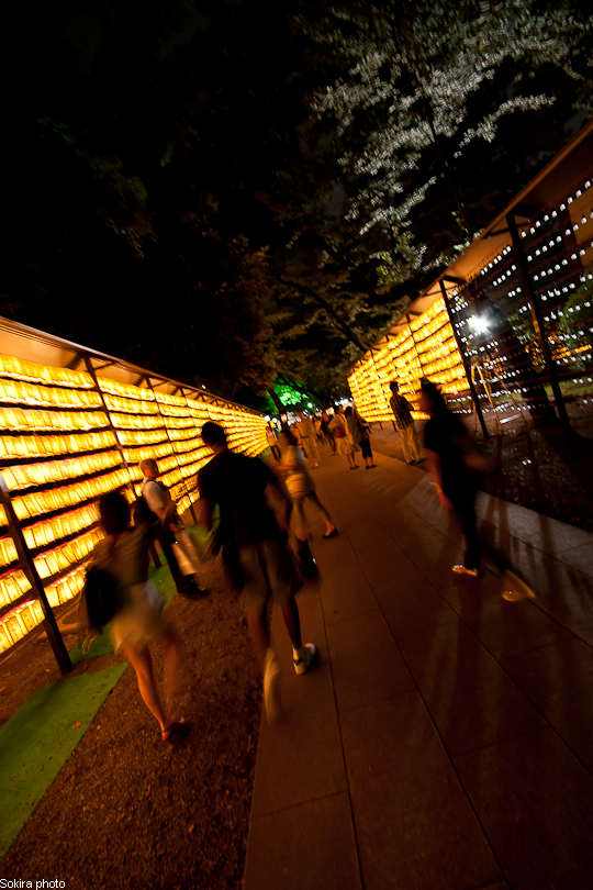 Tokyo - Yokohama - Kyoto - Osaka - Kobe - Hiroshima - Miyajima - Fukuoka - Nagasaki ...
