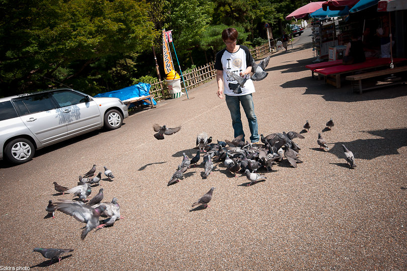 Tokyo - Yokohama - Kyoto - Osaka - Kobe - Hiroshima - Miyajima - Fukuoka - Nagasaki ...