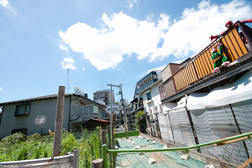 Tokyo - Yokohama - Kyoto - Osaka - Kobe - Hiroshima - Miyajima - Fukuoka - Nagasaki ...