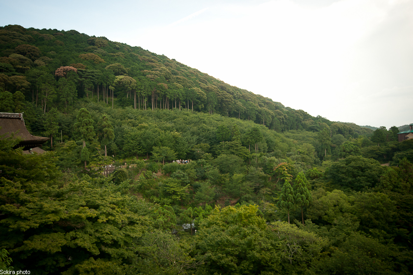 Tokyo - Yokohama - Kyoto - Osaka - Kobe - Hiroshima - Miyajima - Fukuoka - Nagasaki ...