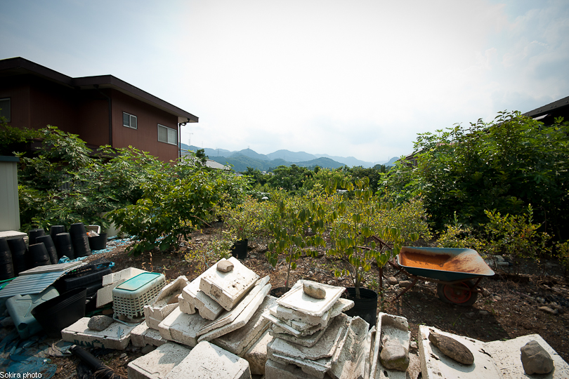Tokyo - Yokohama - Kyoto - Osaka - Kobe - Hiroshima - Miyajima - Fukuoka - Nagasaki ...