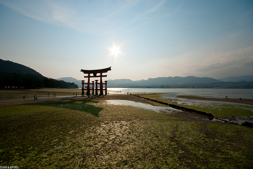 Tokyo - Yokohama - Kyoto - Osaka - Kobe - Hiroshima - Miyajima - Fukuoka - Nagasaki ...