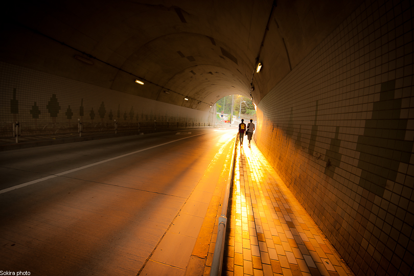 Tokyo - Yokohama - Kyoto - Osaka - Kobe - Hiroshima - Miyajima - Fukuoka - Nagasaki ...