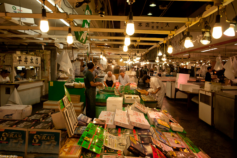 Tokyo - Yokohama - Kyoto - Osaka - Kobe - Hiroshima - Miyajima - Fukuoka - Nagasaki ...