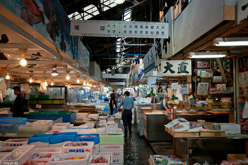 Tokyo - Yokohama - Kyoto - Osaka - Kobe - Hiroshima - Miyajima - Fukuoka - Nagasaki ...