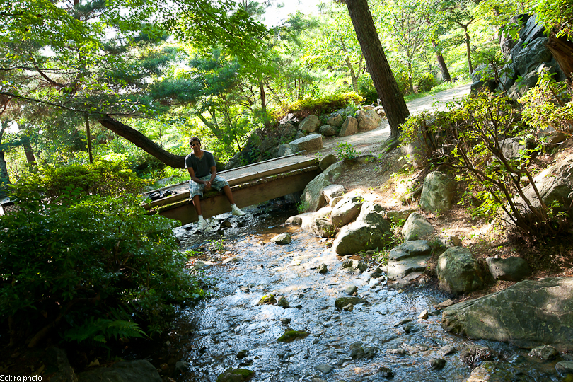 Tokyo - Yokohama - Kyoto - Osaka - Kobe - Hiroshima - Miyajima - Fukuoka - Nagasaki ...