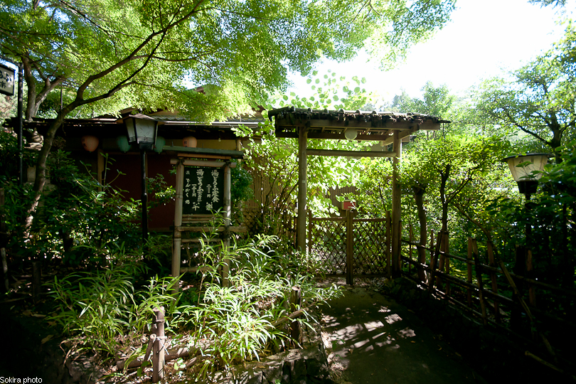 Tokyo - Yokohama - Kyoto - Osaka - Kobe - Hiroshima - Miyajima - Fukuoka - Nagasaki ...