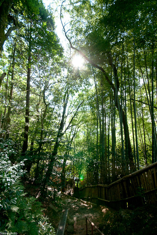 Tokyo - Yokohama - Kyoto - Osaka - Kobe - Hiroshima - Miyajima - Fukuoka - Nagasaki ...